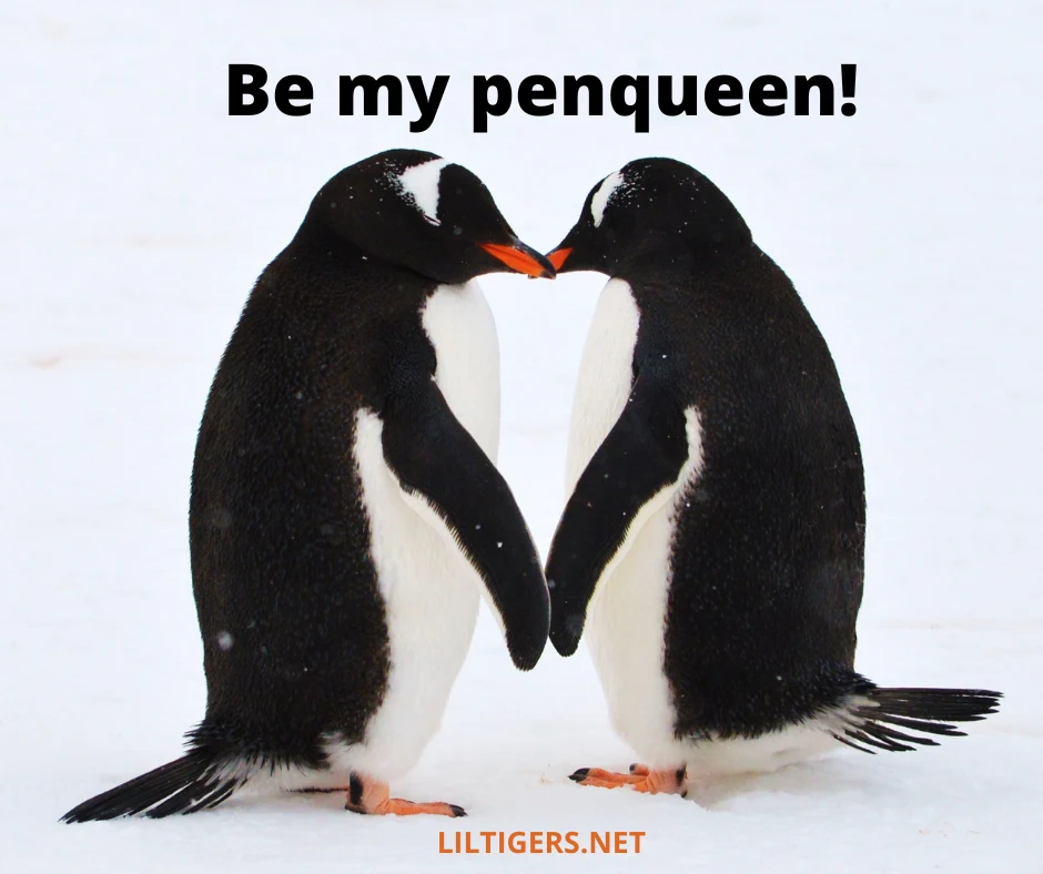 penguin quotes for kids