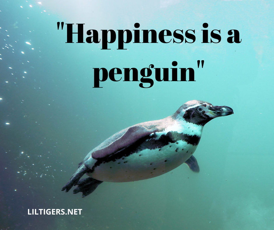 Penguin sayings for kids