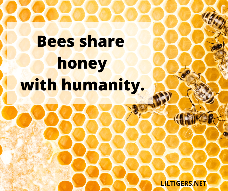 quotes about bees