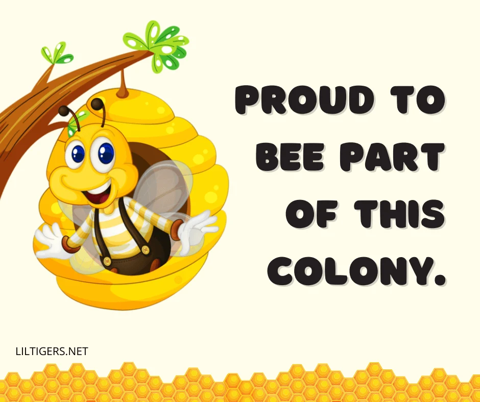 best bee phrases