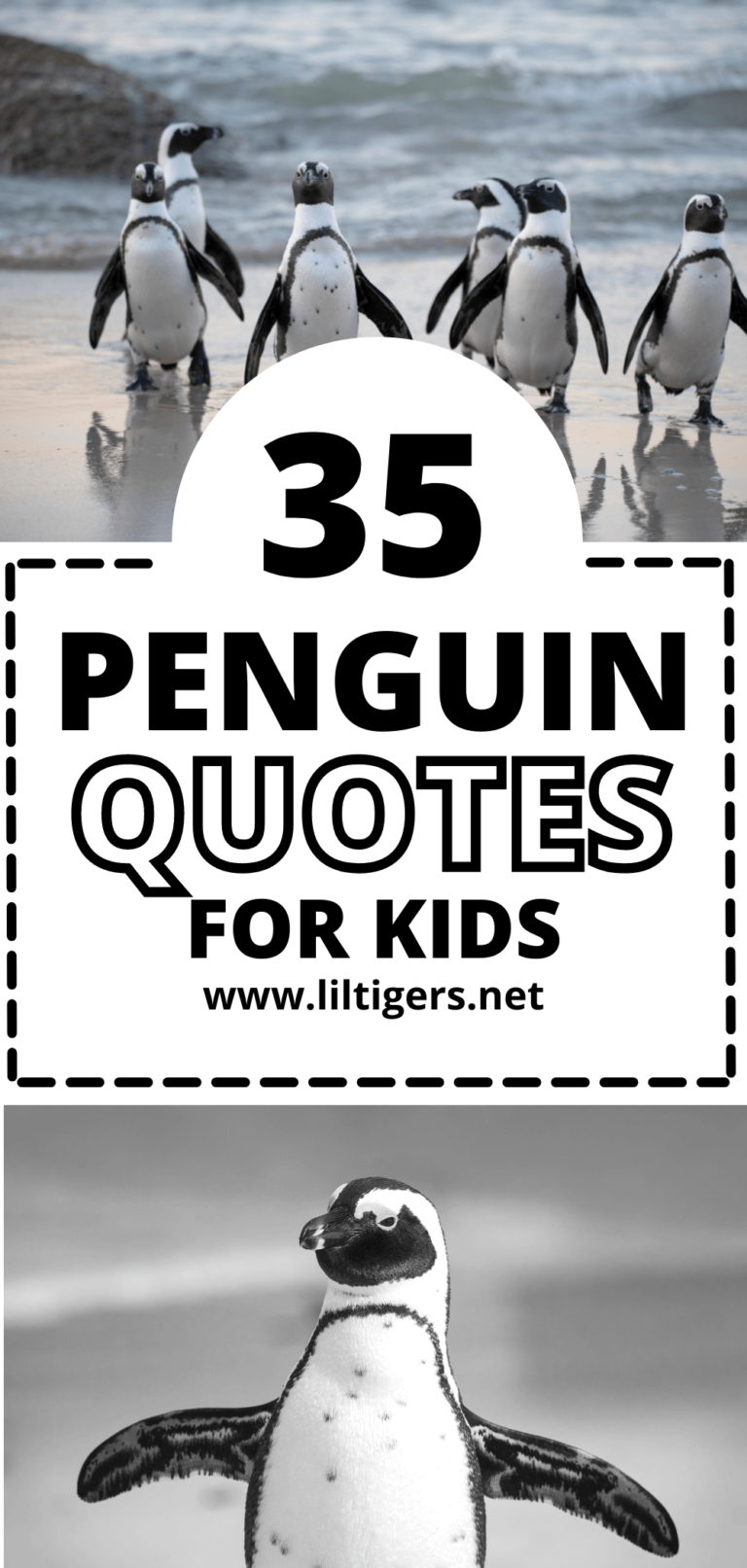55 Best Penguin Quotes and Sayings - Lil Tigers