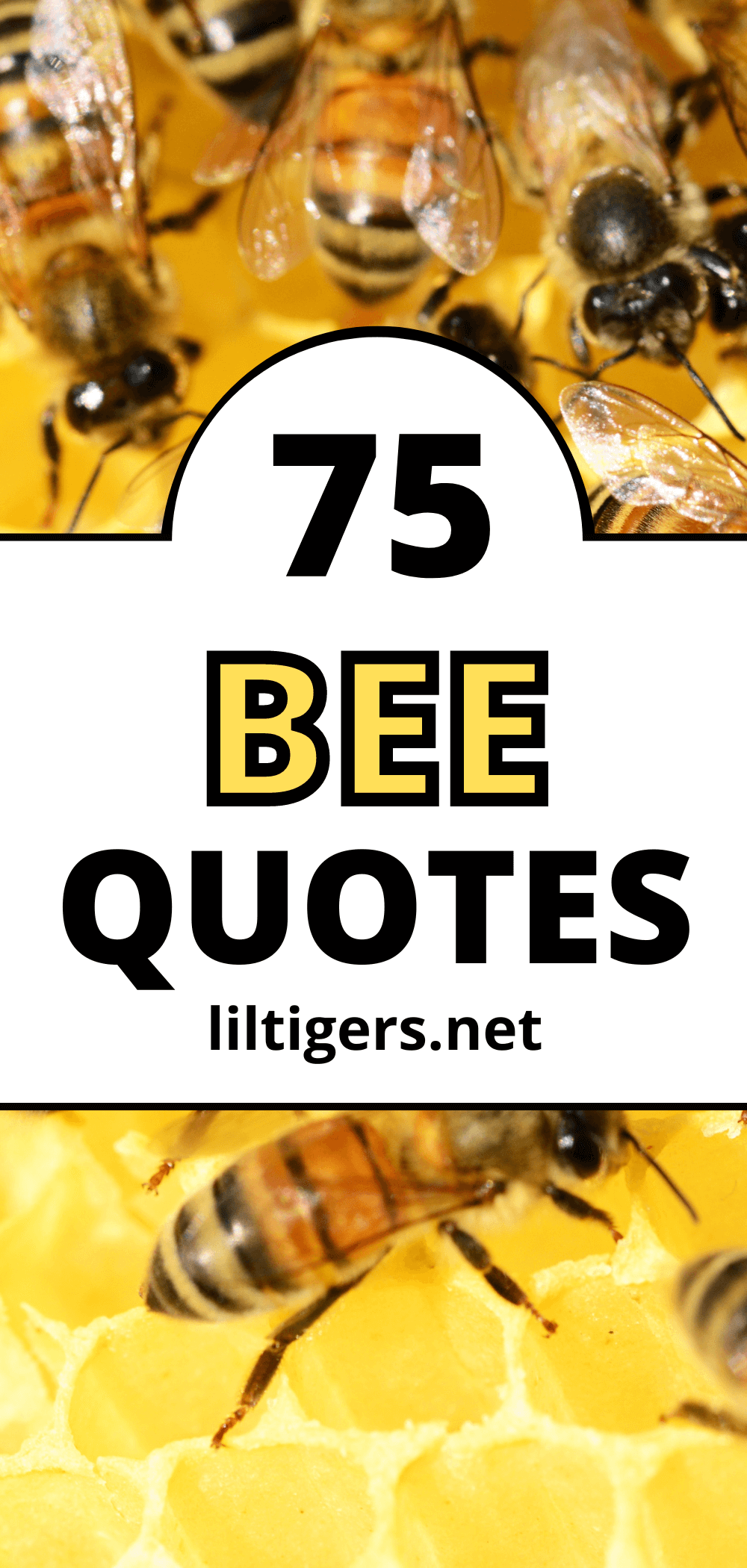 catchy bee quotes