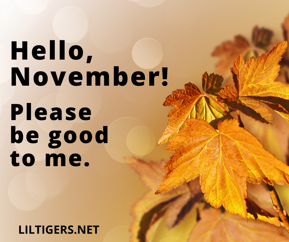 positiv quotes of November
