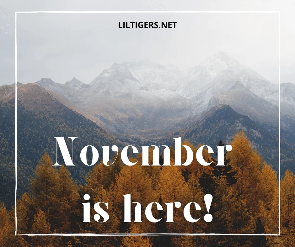 happy quotes about november