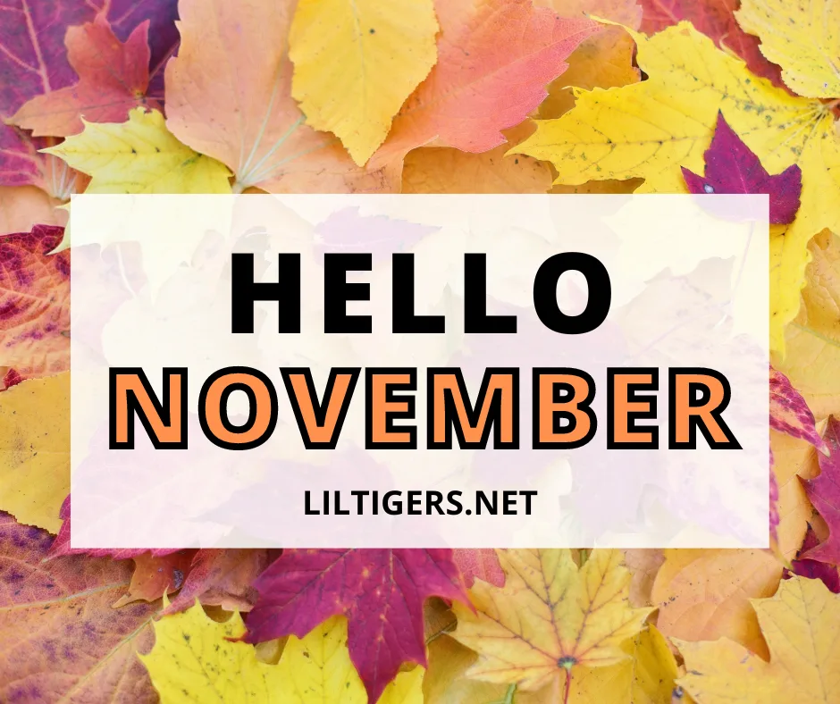 hello november quotes