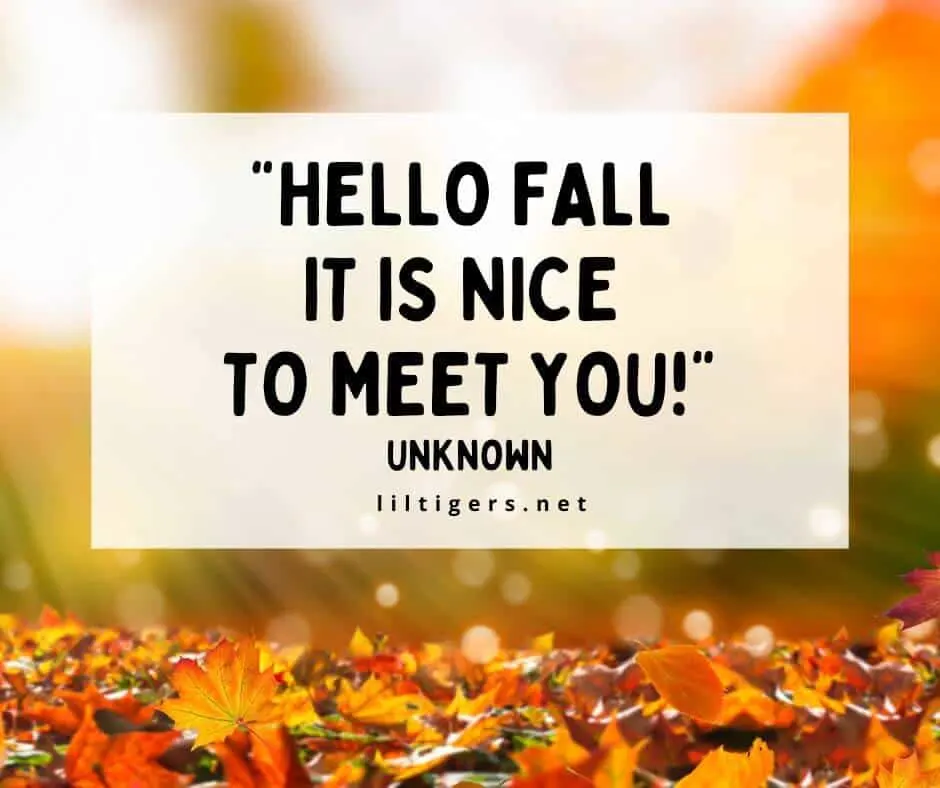 Hello Fall Quotes for kids