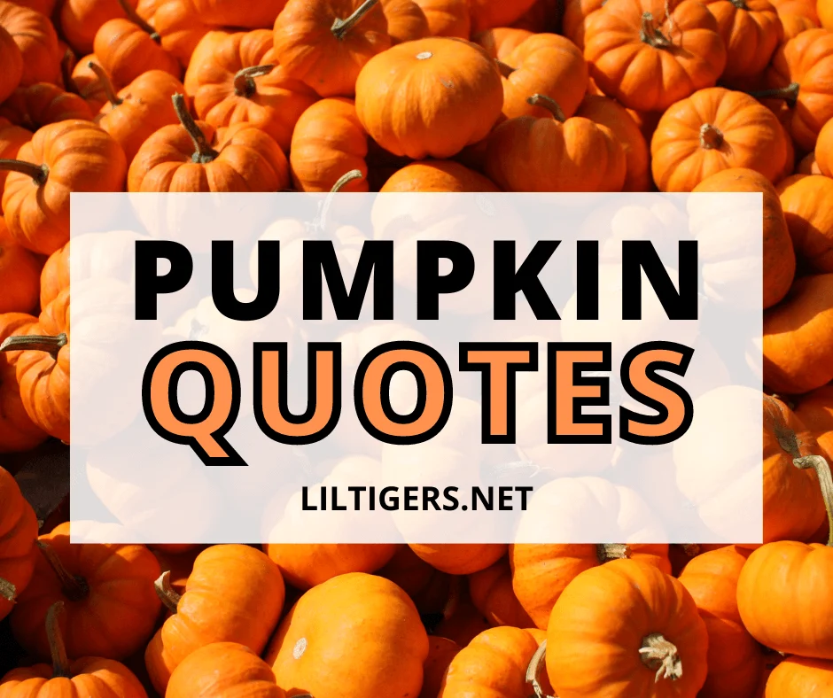 cute pumpkin quotes for kids