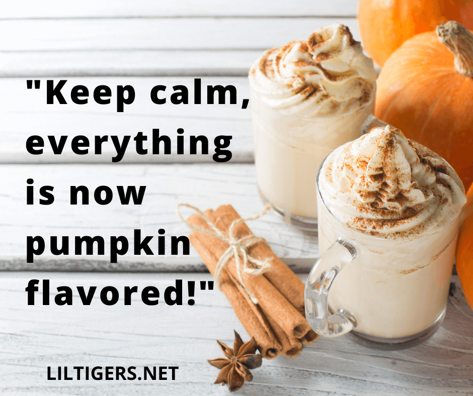 pumpkin sayings