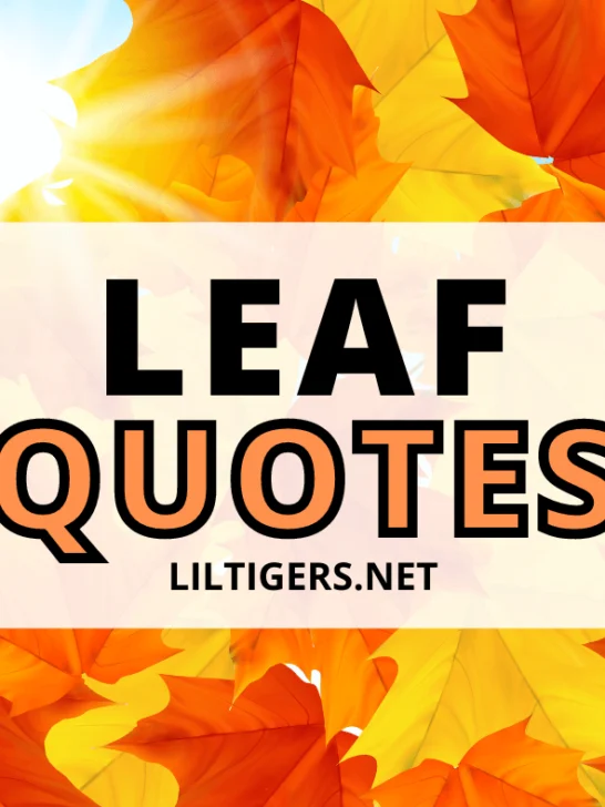 best leaf quotes for kids