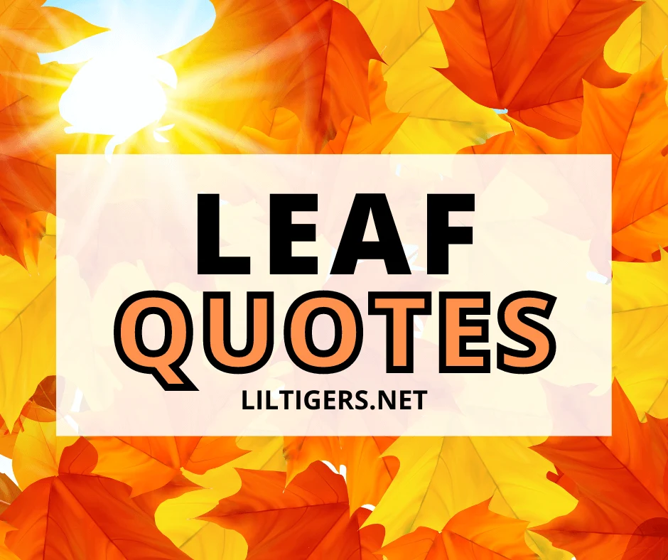 best leaf quotes for kids