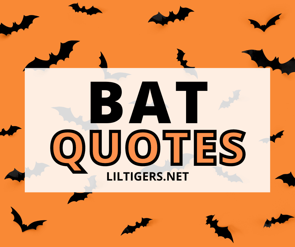 animal bat quotes for kids