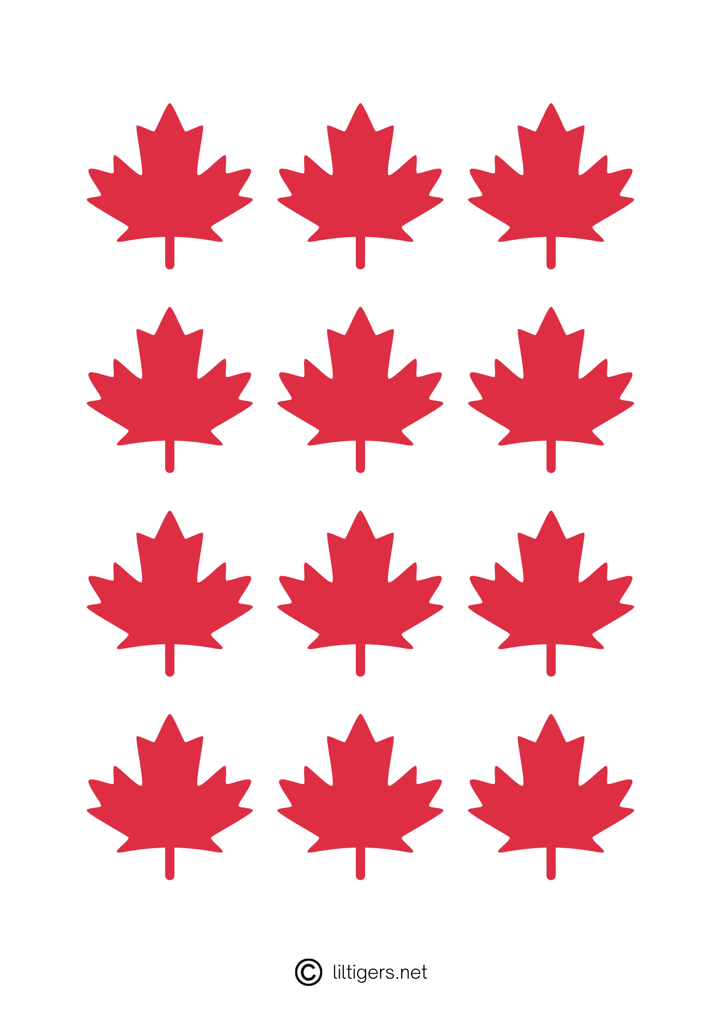 maple leaf outlines