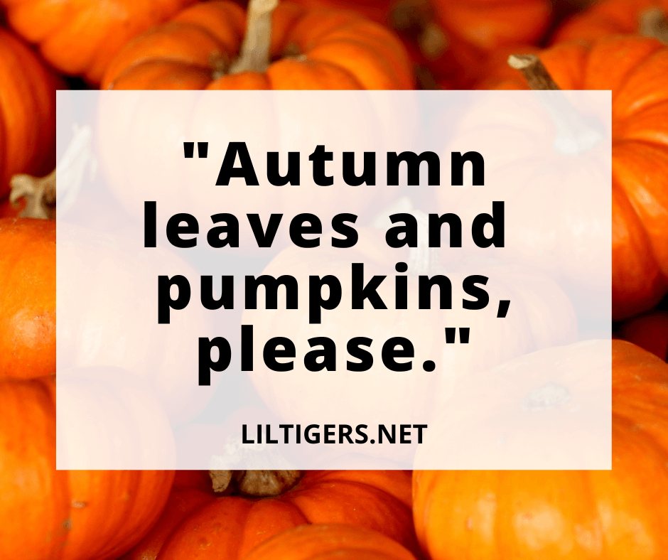 pumpkin puns