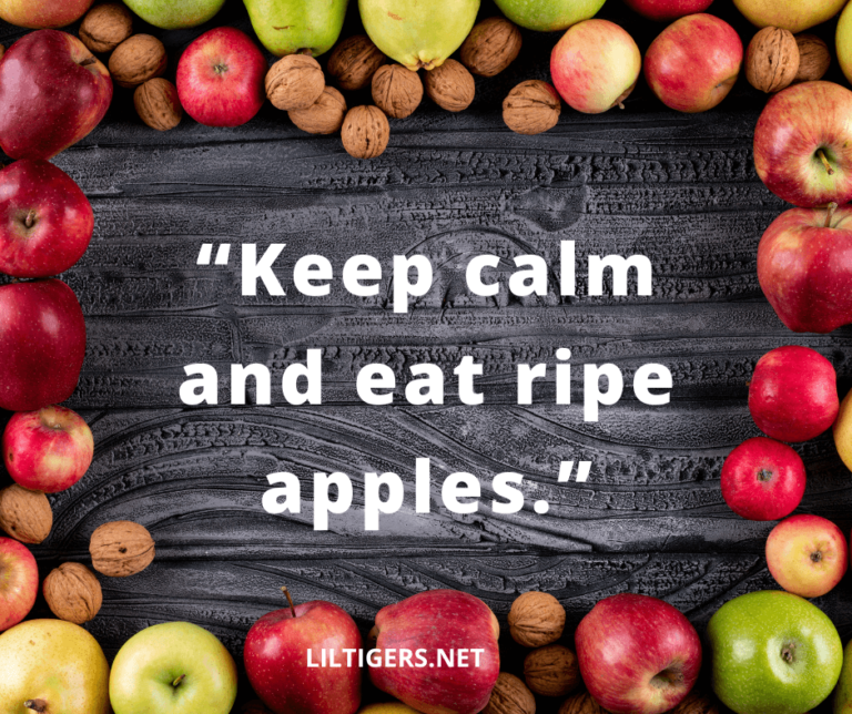 95 Best Apple Quotes, Sayings & Captions - Lil Tigers