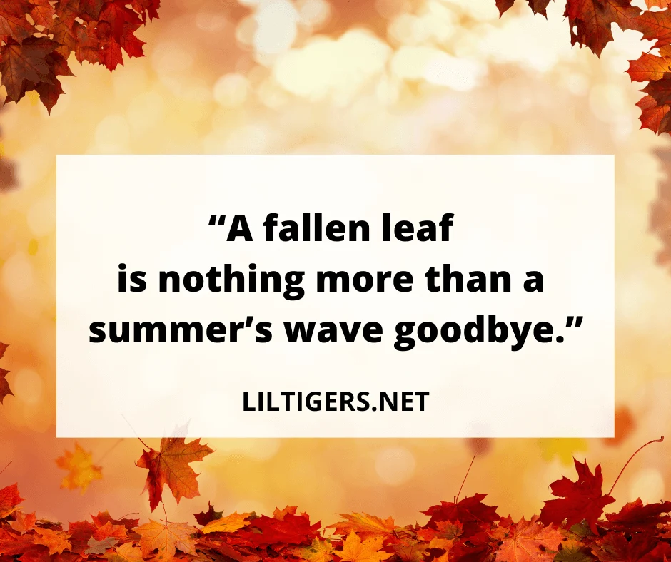 cute leaf quotes