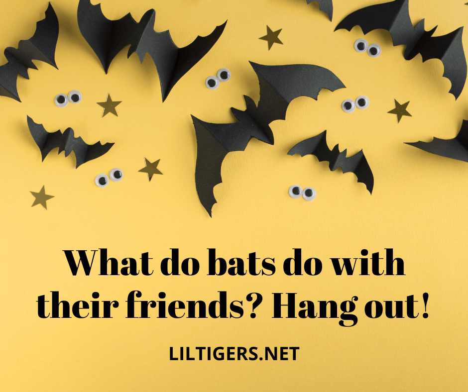 funny bat sayings for kids