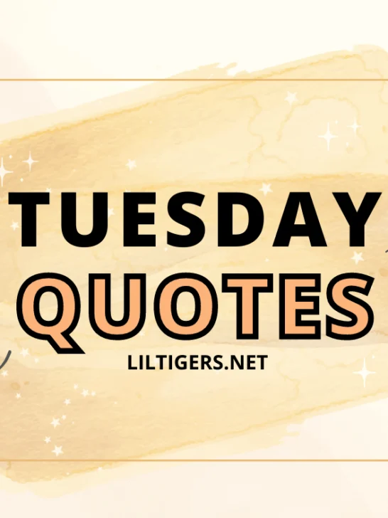 hello tuesday quotes for kids