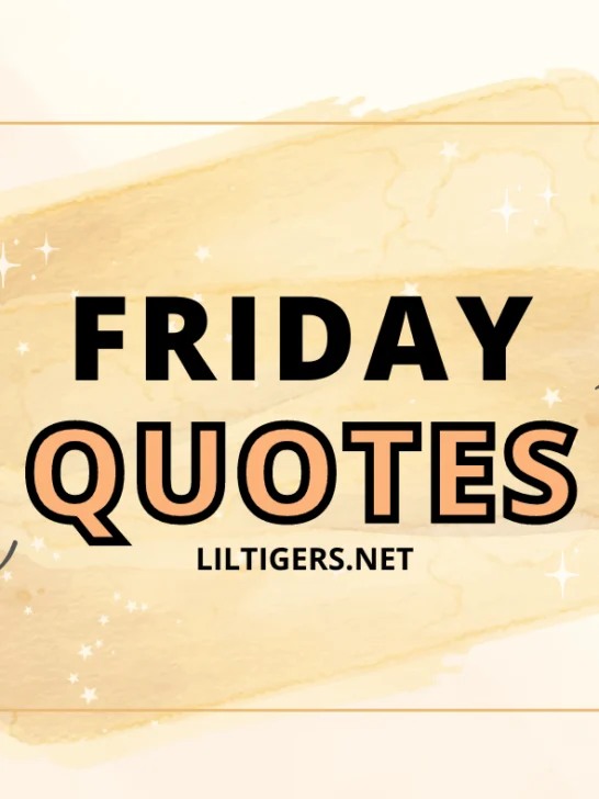 HAPPY FRIDAY QUOTES FOR KDIS