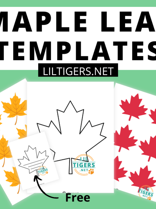 free maple leaf printable