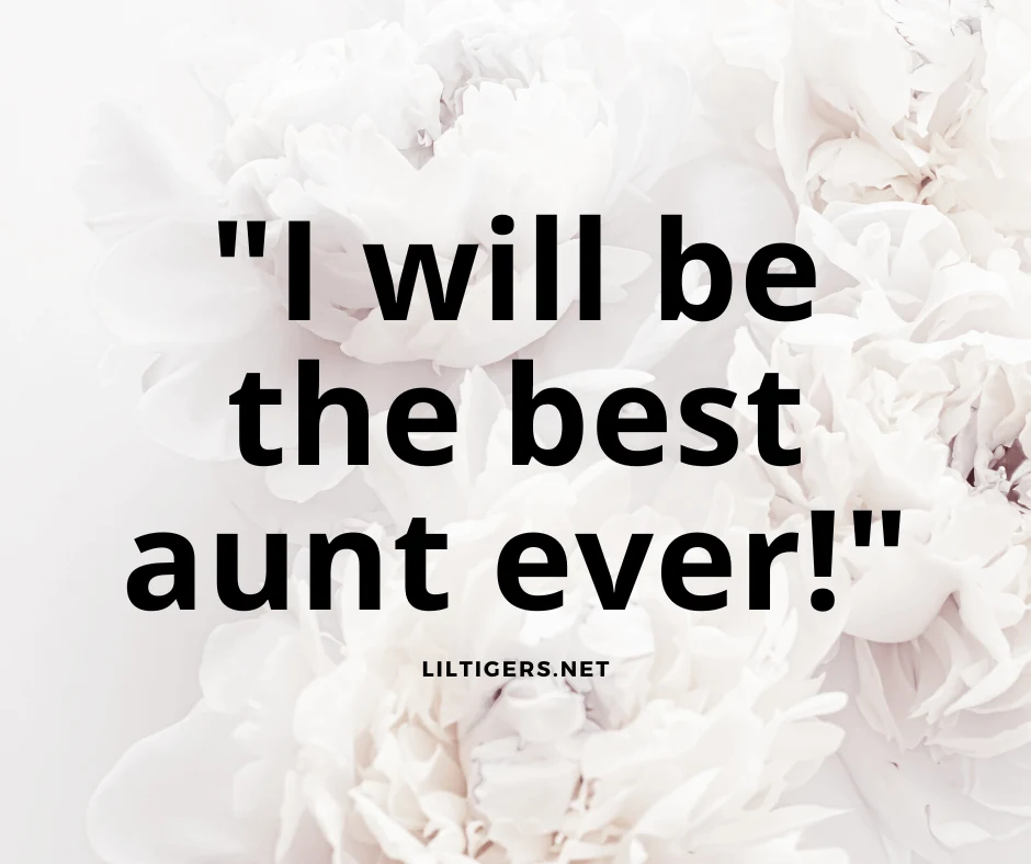 quotes on becoming a aunt