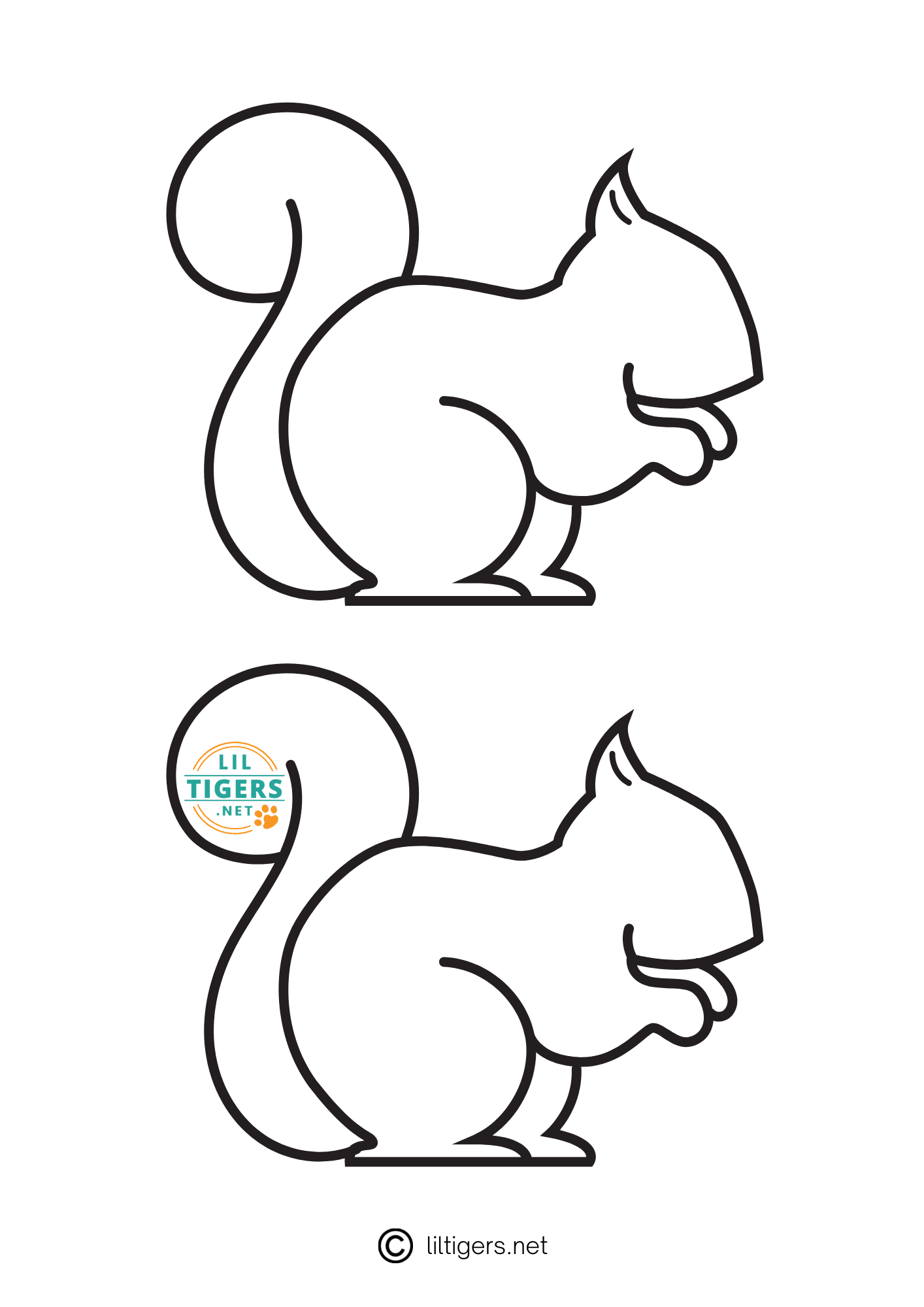 free printable squirrels outlines