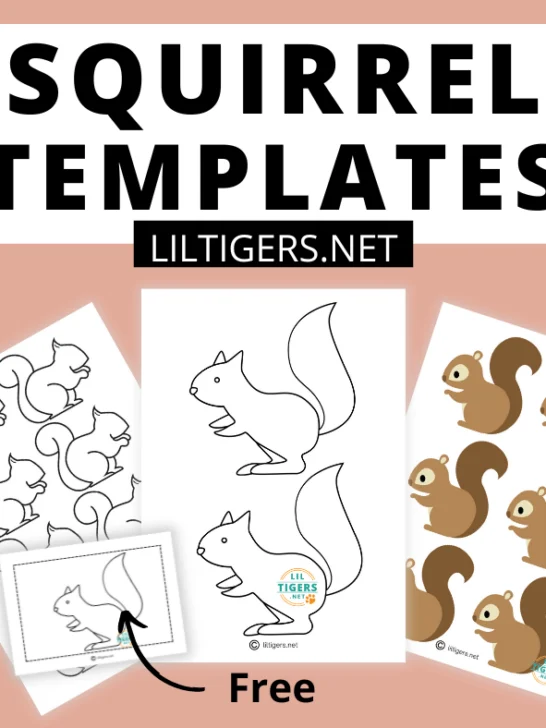 free printable squirrel templates