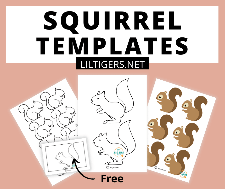 free printable squirrel templates