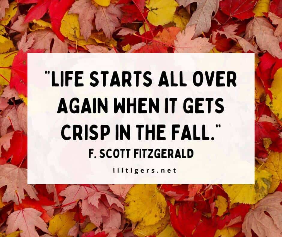 fall quotes short
