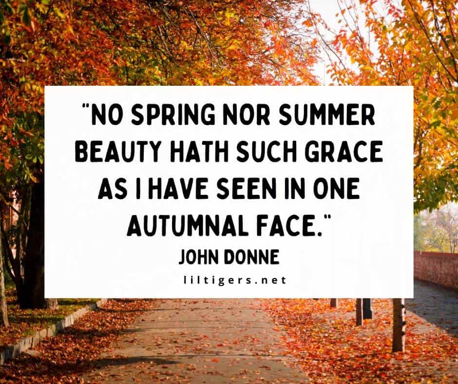 kids Quotes About Fall