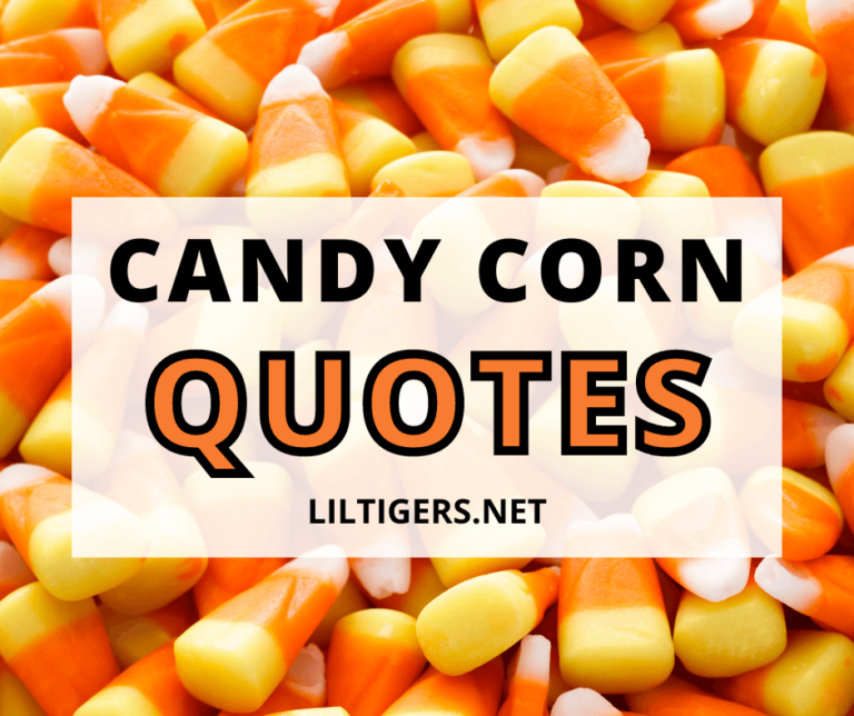 55 Best Candy Corn Quotes, Sayings & Captions Lil Tigers