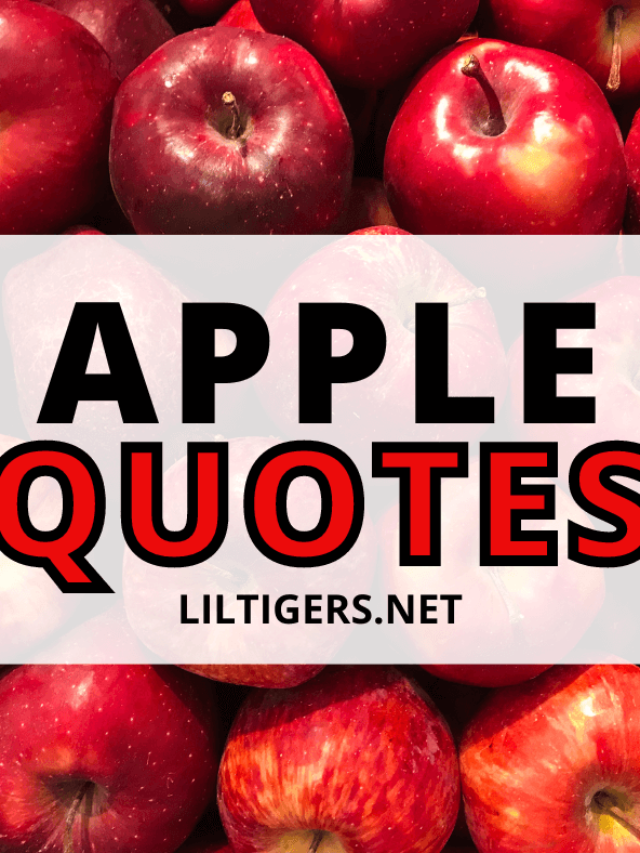 Apple Quotes
