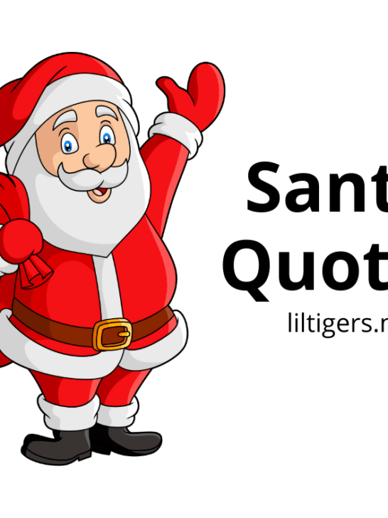 best Santa Quotes for kids