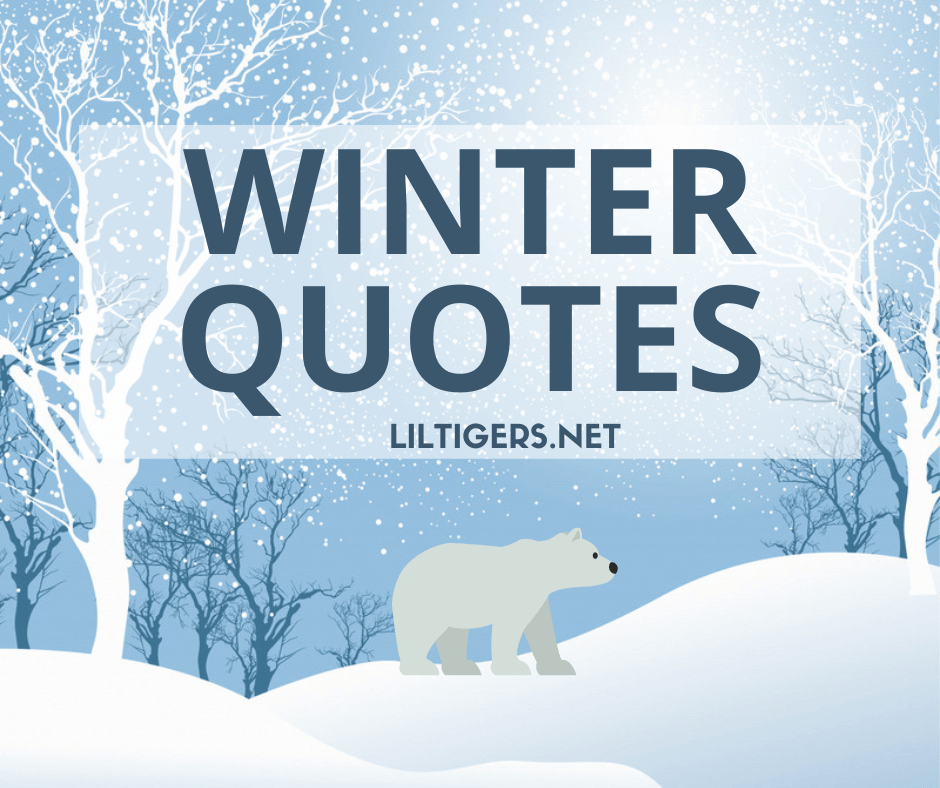 best winter quotes for kids