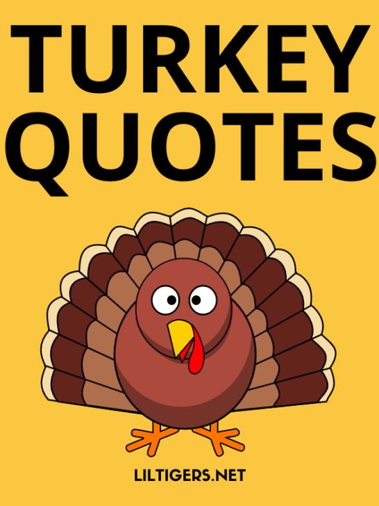 fun turkey quotes for kids