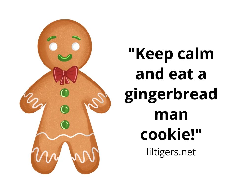 quotes about gingerbread man