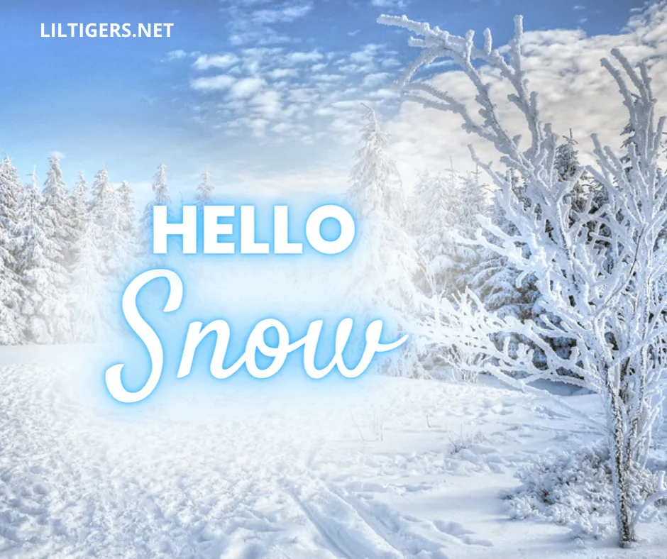 hello snow quotes