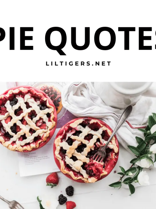 best family pie quotes and sayings