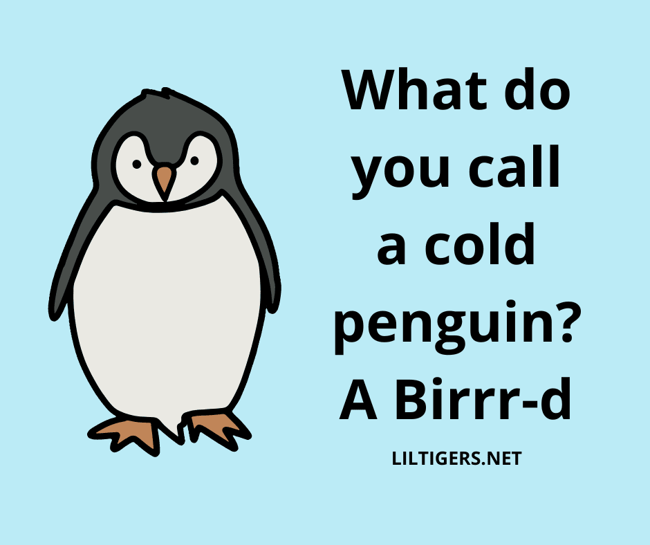 funny penguin jokes