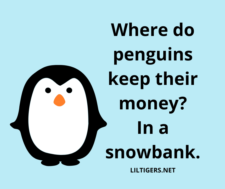 fun penguin jokes