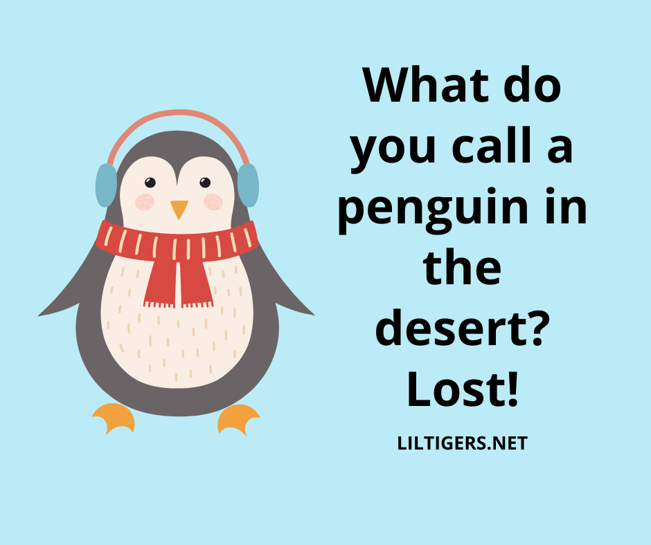 funny jokes about penguins