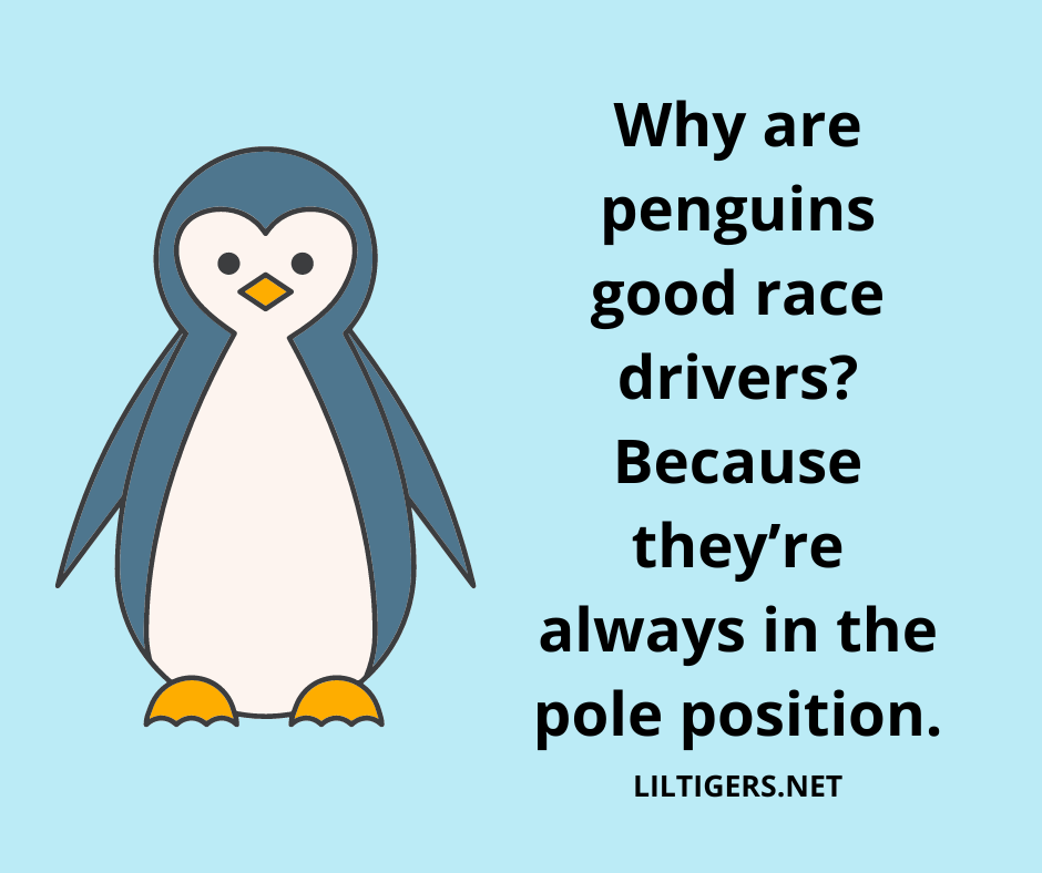 fun jokes on penguins