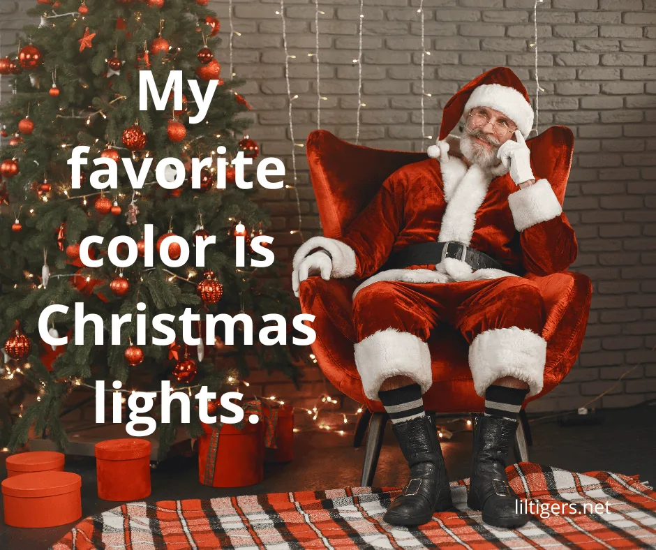 fun santa claus captions