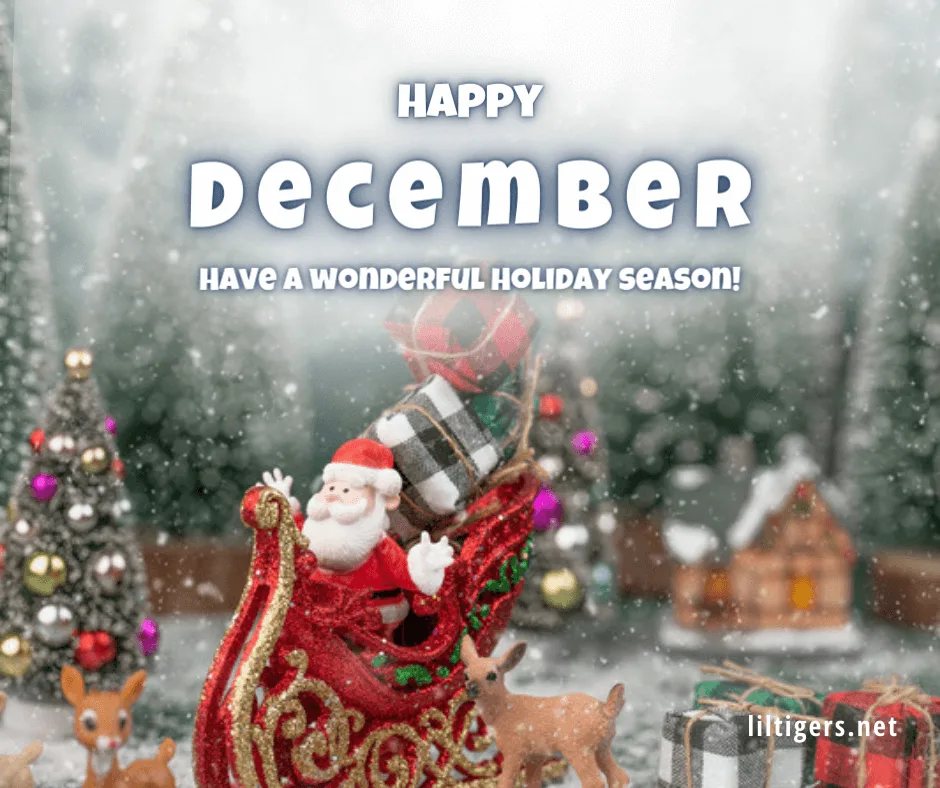 Happy december quotes and sayings