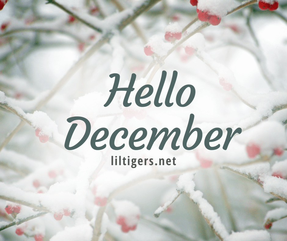 Hello December quotes