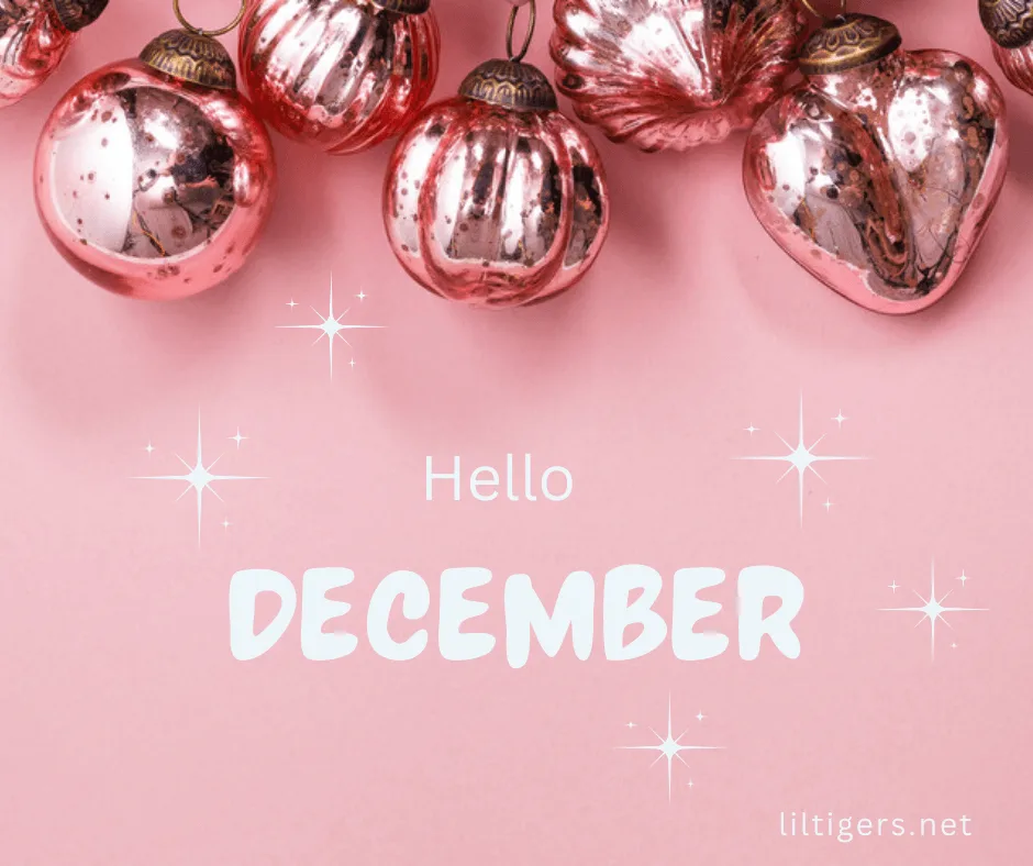 Hello december sayings