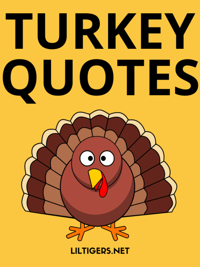 60 Best Turkey Quotes for Kids