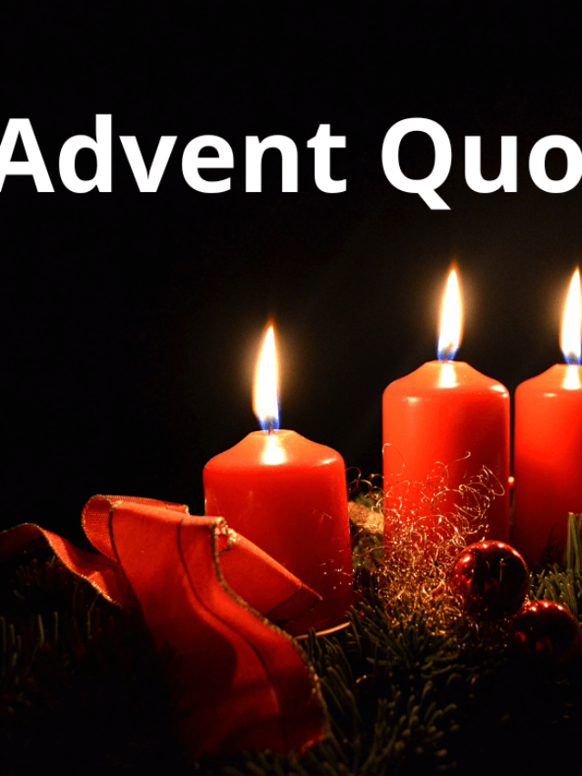 advent-quotes-for-kids-lil-tigers