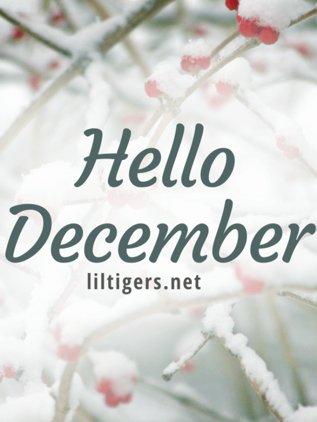 Hello December Quotes & Sayings