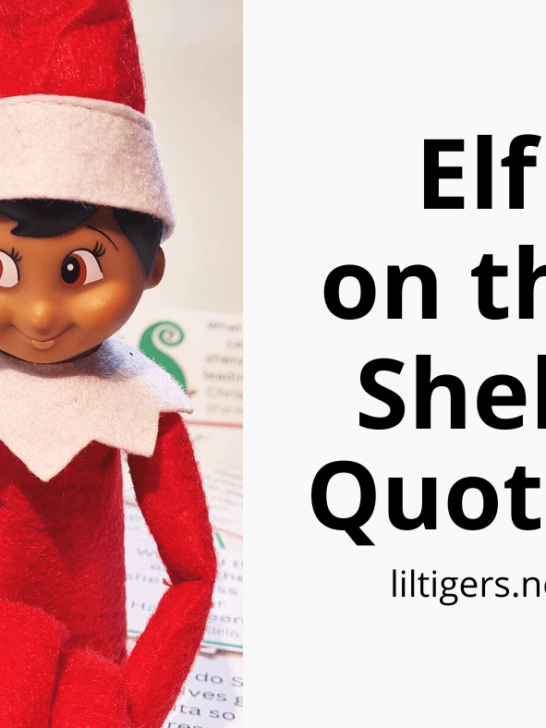 funny kids elf on the shelf quotes