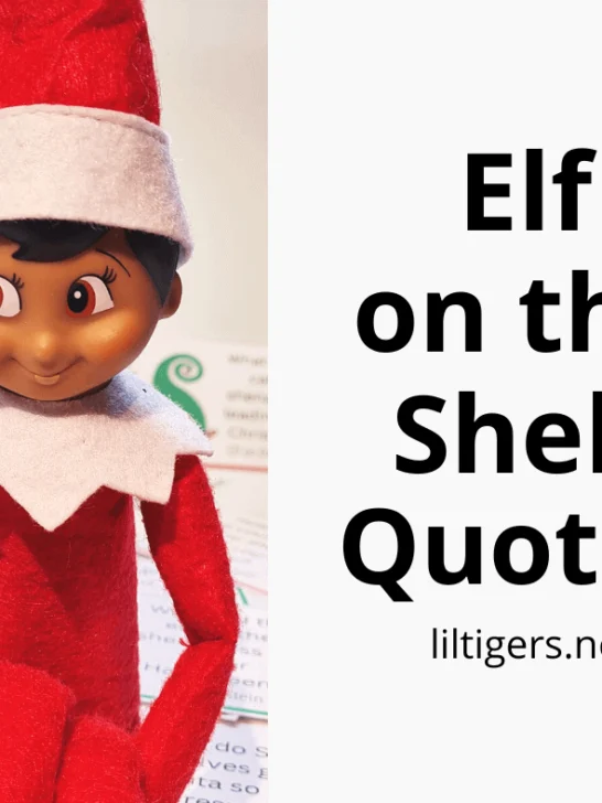 funny kids elf on the shelf quotes